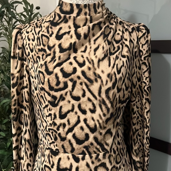 Express Leopard Dress - Picture 2 of 5